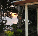 Fijian Bure