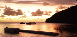 Fiji reviews