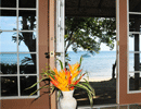 Fijian Bure