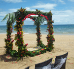 Fiji wedding